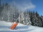 Zahlreiche Schneelanzen im Skigebiet