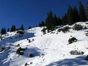 Tiefschnee im oberen Bereich