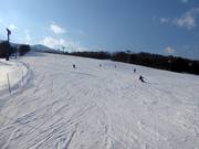 Breite und leichte Piste Family