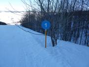 Pistenmarkierung im Skigebiet Savin Kuk