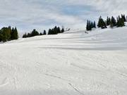Oberer Teil Piste Rennstrecke