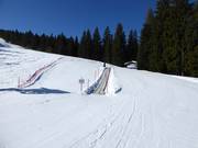 Förderband in Fiorentini