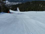 Alles gut geglättet