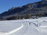 Teil der Pinzga-Loipe von Krimml bis Zell am See