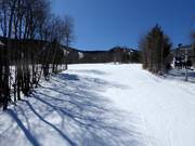 Leichte Piste Broadway