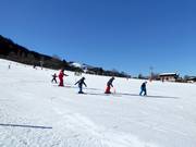 Anfängergelände im Tal in Going