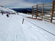 Baby 1 (Kellaria 1950) - Seillift/Babylift mit niederer Seilführung