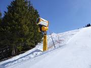 Leistungsfähige Schneekanone am Chuenisbärgli