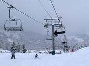 Littlecat Express - 4er Hochgeschwindigkeits-Sesselbahn (kuppelbar)