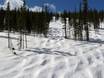 Skigebiete für Könner und Freeriding USA – Könner, Freerider Winter Park Resort