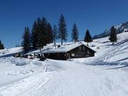 Berghütten Tipp Bäsäbeiz Waldhüttli