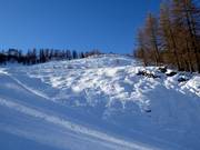 Freeride-Areal Gamskogel