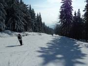 Südabfahrt Ochsenkopf