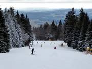 Leichte Stierwiesenabfahrt