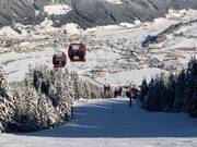 8er Königslehenbahn I - 8er Gondelbahn (Ein-Seil-Umlaufbahn)