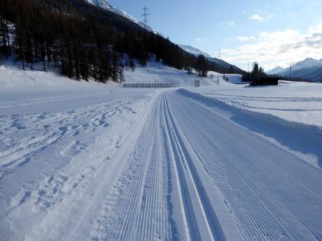 Langlauf Livigno-Alpen – Langlauf Languard – Pontresina