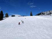 Sehr gute Pistenpräparierung in Brighton