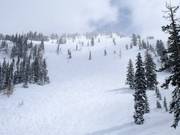 Steiles Gelände an der Sesselbahn Great Western Express