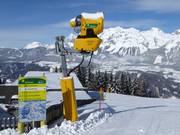 Schneekanone auf der Planai