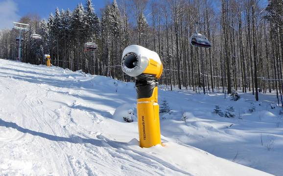 Schneesicherheit Freyung-Grafenau – Schneesicherheit Mitterdorf – Almberg