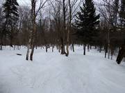 Leichte Piste La Casimir