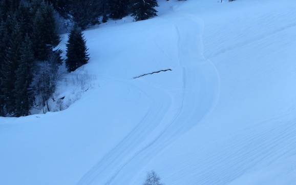 Langlauf Saalfelden Leogang – Langlauf Saalbach Hinterglemm Leogang Fieberbrunn (Skicircus)