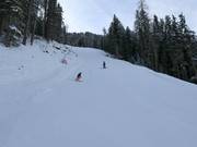 Schwarze Abfahrt Nr. 14 Balbach-Ochsengarten