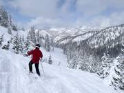 Tiefschneehänge im Honeycomb Canyon
