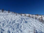 Freeridemöglichkeiten an der 6er Sesselbahn Thurntaler