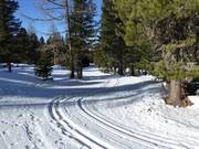 Höhenloipe an der Bergstation der 10er-Gondelbahn