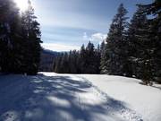 Leichte Piste Jocher