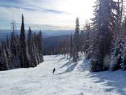 Piste Simple Pleasure