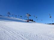 Piste Nr. 21 G1 Prawa