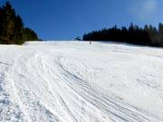 Slalomstrecke am Fishang