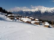 Chalets an der Piste in Veysonnaz