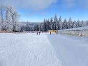 Übungsareal Junior Ski Zirkus mit überdachten Förderbändern