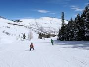 Leichte Piste Deer Hollow