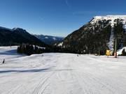 Leichte Piste Campanil in Pampeago