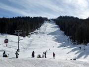 Blick auf die Piste 1