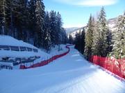 Rudi-Rentier-Weg an der Rotwand