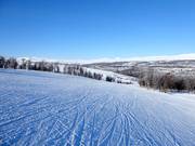 Piste Nr. 22 Solliftbacken