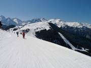 Blick auf Auris mit vielen leichten Abfahrten am Rande des Gebiets