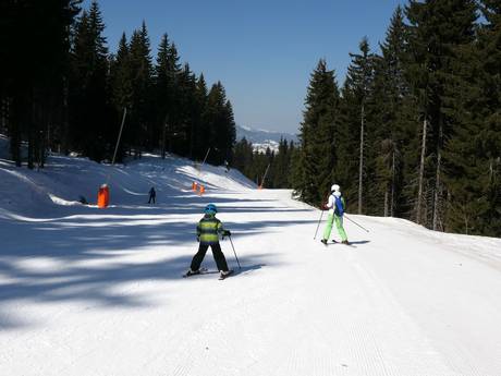 Skigebiete für Anfänger in der Oblast Smoljan – Anfänger Pamporovo