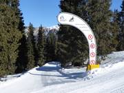 Tipp für die Kleinen  - Rodelbahn Ratschings-Jaufen 