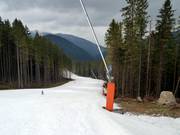 Leichte Piste Nr. 14 Lúčky