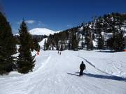 Märchenwald-Abfahrt