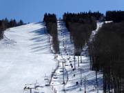 05 Alera Group Competition Lift - Schlepplift mit T-Bügel/Anker