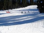 Präparierte Piste im Skigebiet Sierra at Tahoe