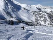 Pulverschnee im Gad Valley