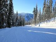 Leichte Piste Mt. Morrisey Connector